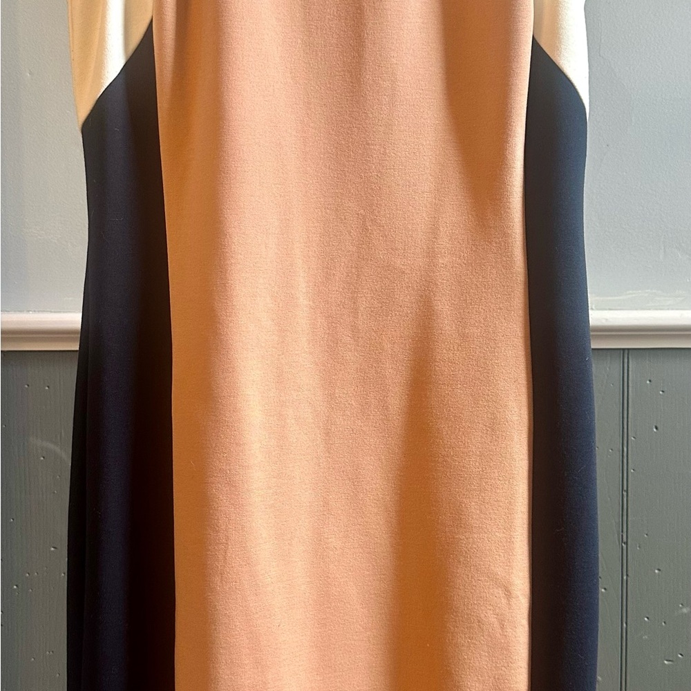 Ann Taylor Elegant Colorblock Dress